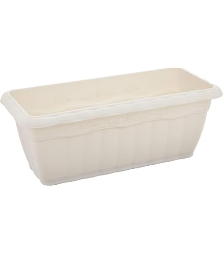 まとめ買い アガベ 多肉植物 プランター 六角形 育成鉢 通気性 Amazon.co.jp: アガベ 多肉植物 プランター 六角形 育成鉢 通気性